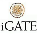iGate placement papers