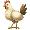 Poultry Question Papers