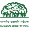 bsi_logo