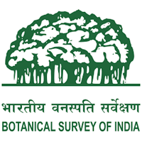 bsi_logo