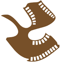 srfti_logo