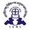 ivri_logo
