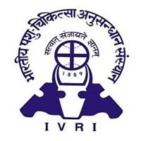ivri_logo