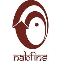 nabfins_logo